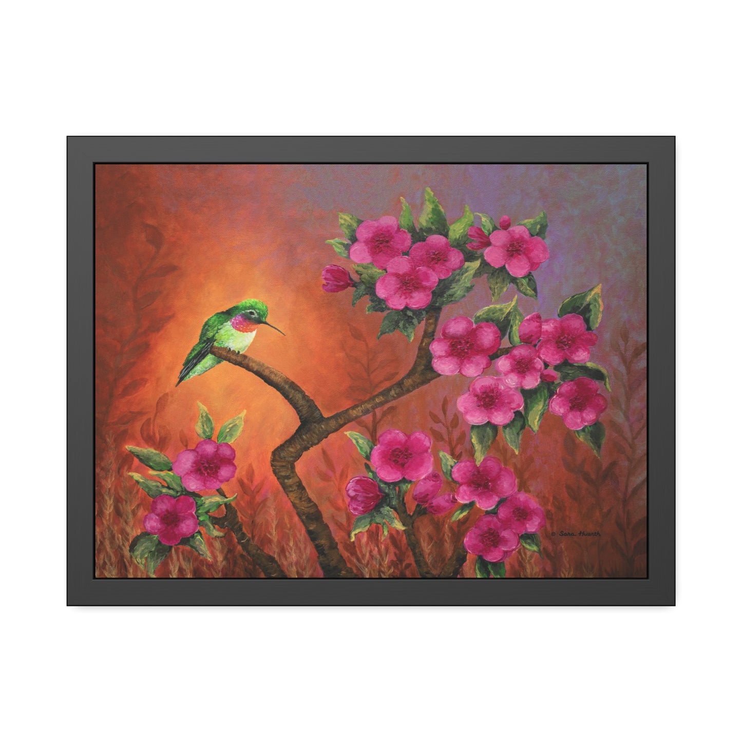 Hummingbird Sunset Paper Print, Framed