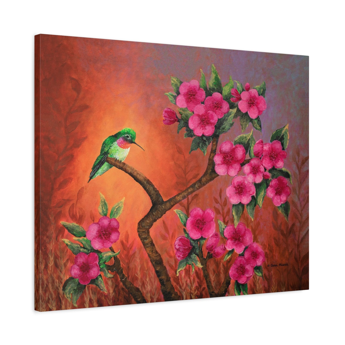 Hummingbird Sunset Canvas Print