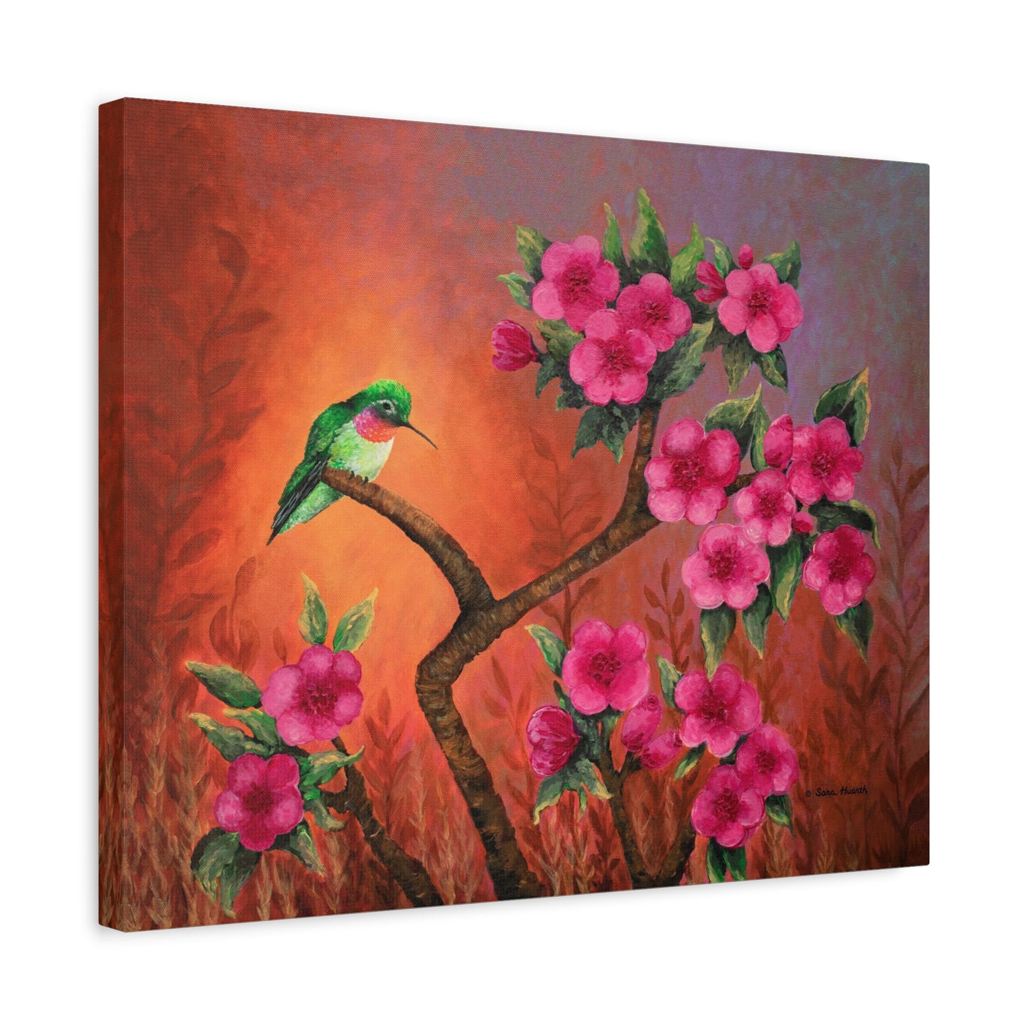 Hummingbird Sunset Canvas Print