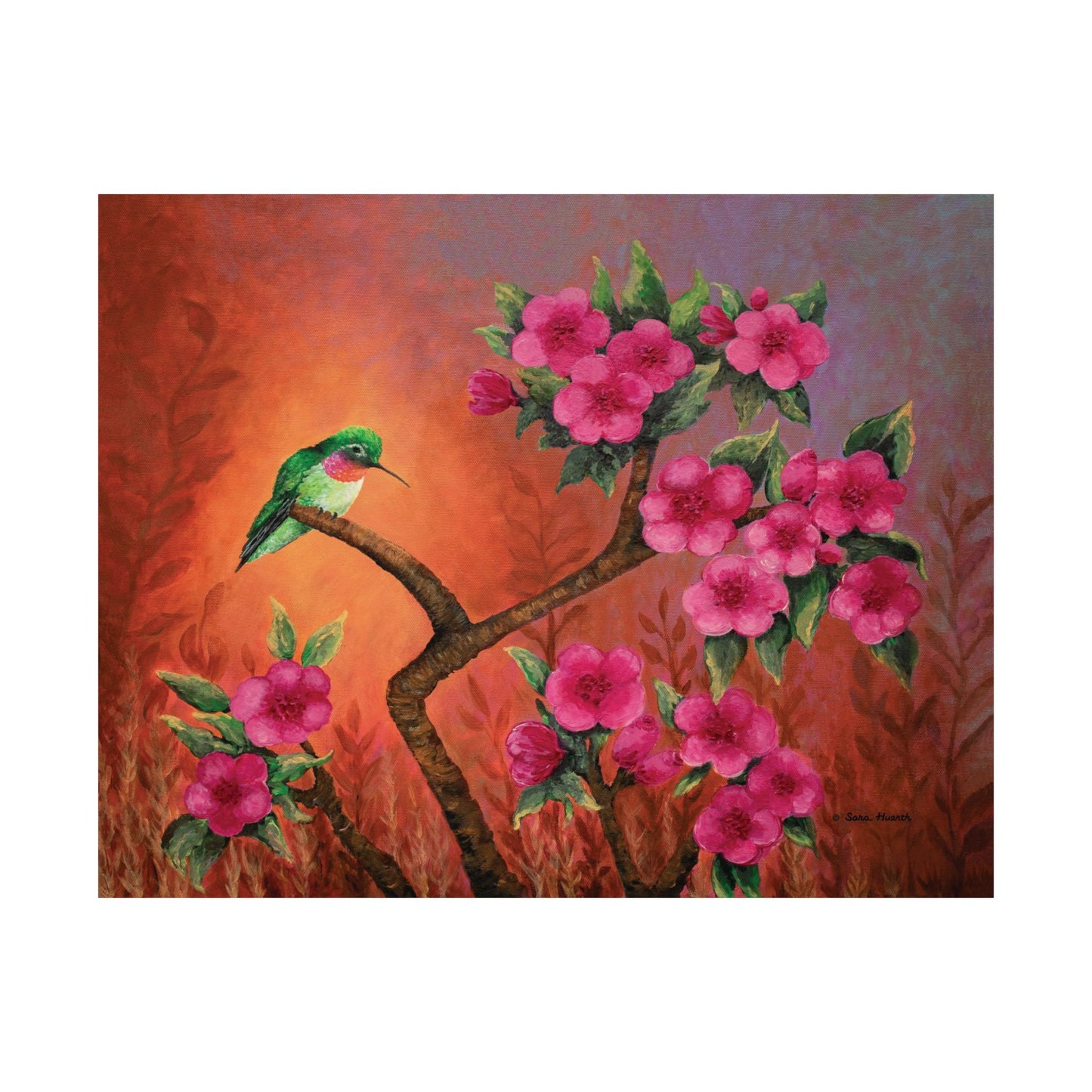 Hummingbird Sunset Fine Art Paper Print