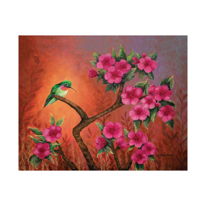 Hummingbird Sunset Fine Art Paper Print