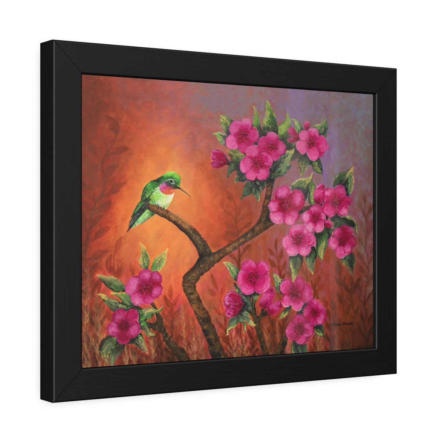 Hummingbird Sunset Paper Print, Framed