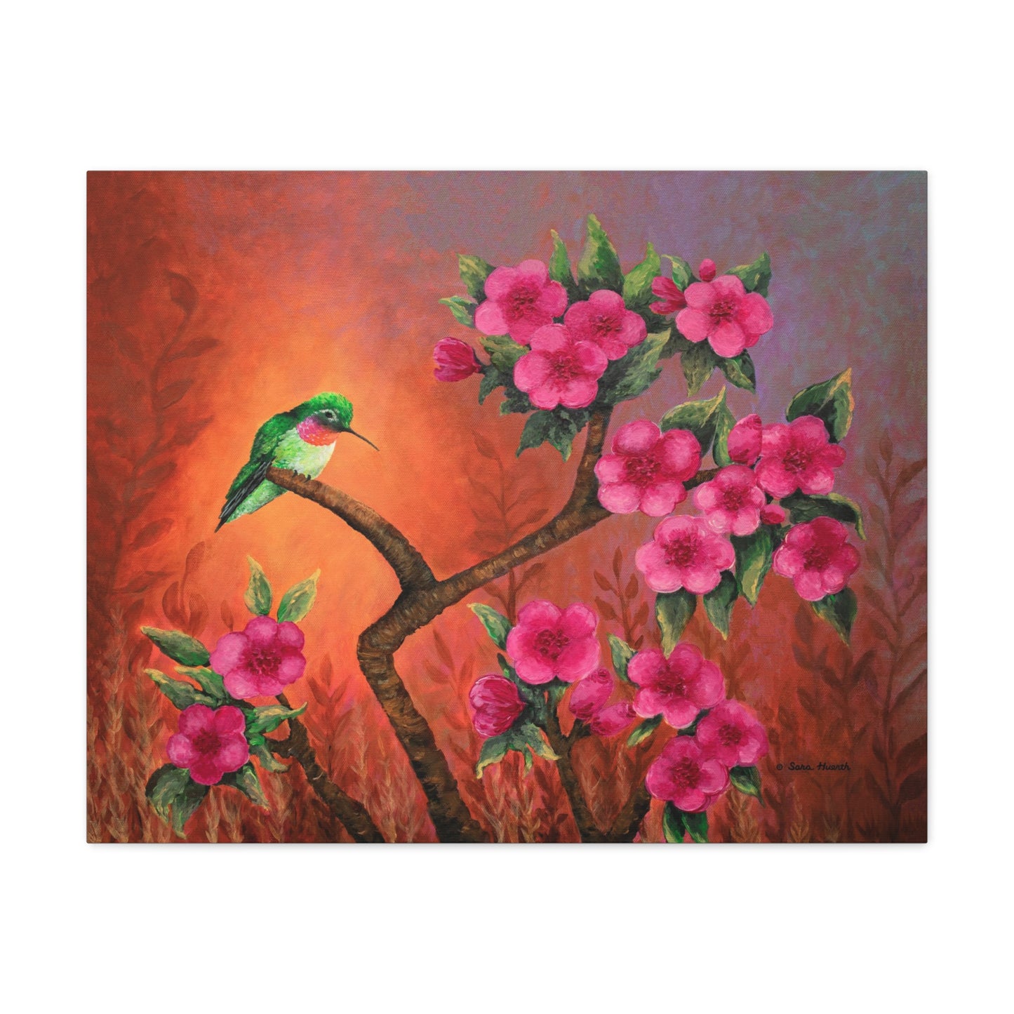 Hummingbird Sunset Canvas Print