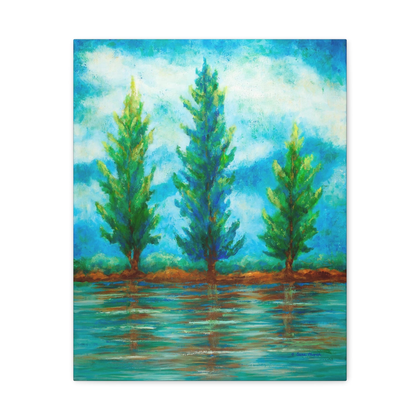 Three River Pines Canvas Print