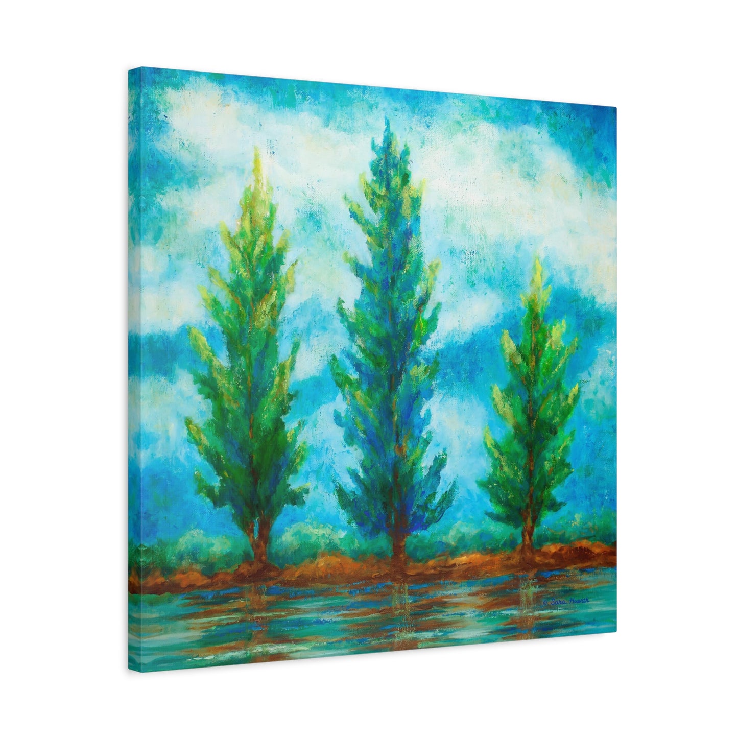 Three River Pines Canvas Print