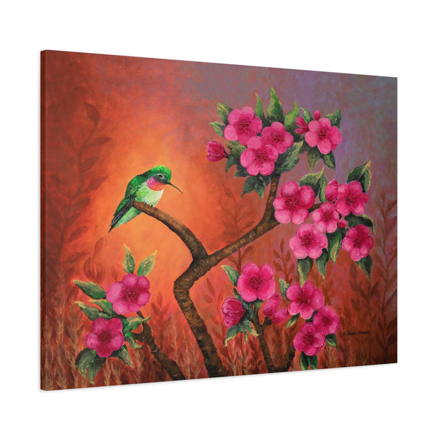 Hummingbird Sunset Canvas Print