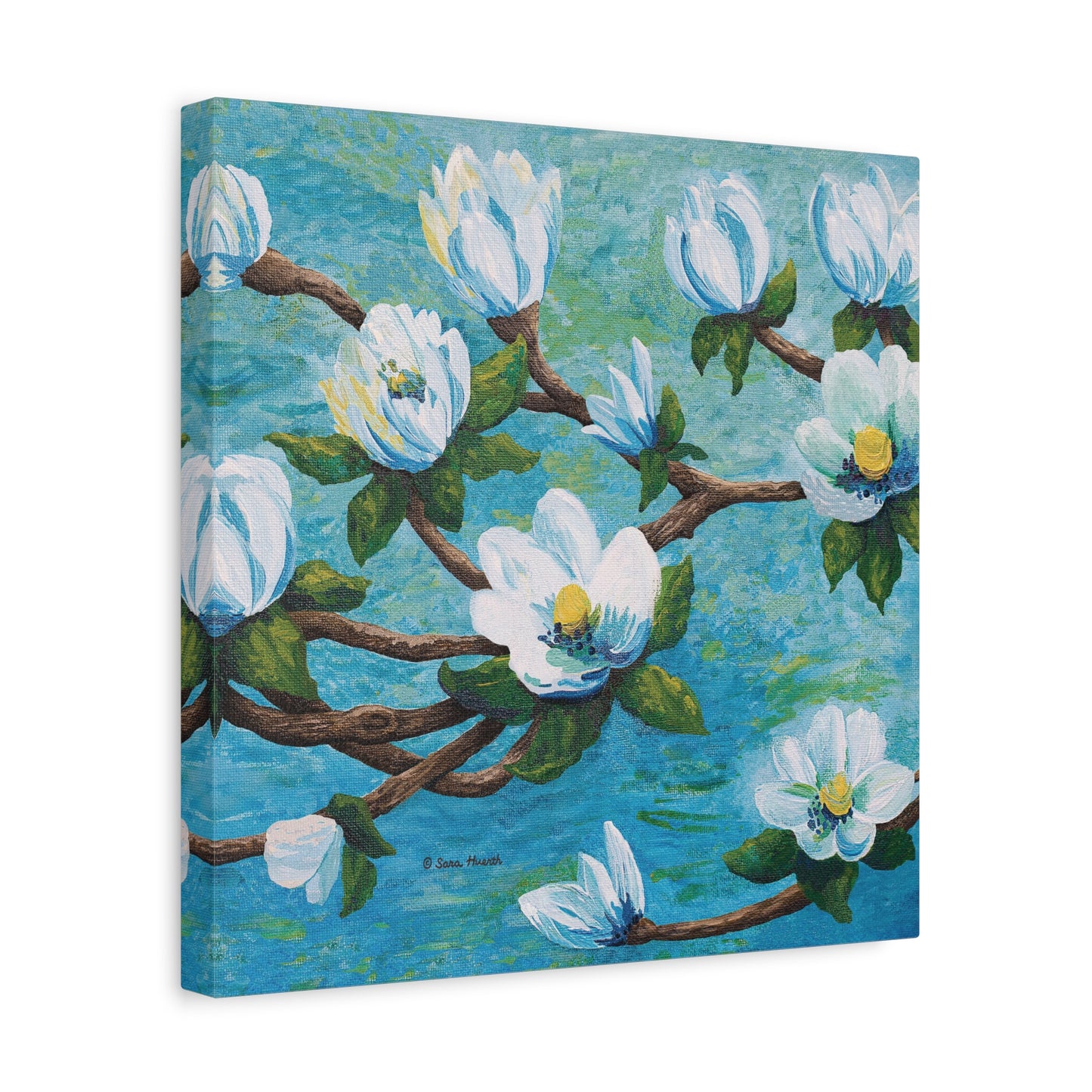 Magnolia Over Water Canvas Print