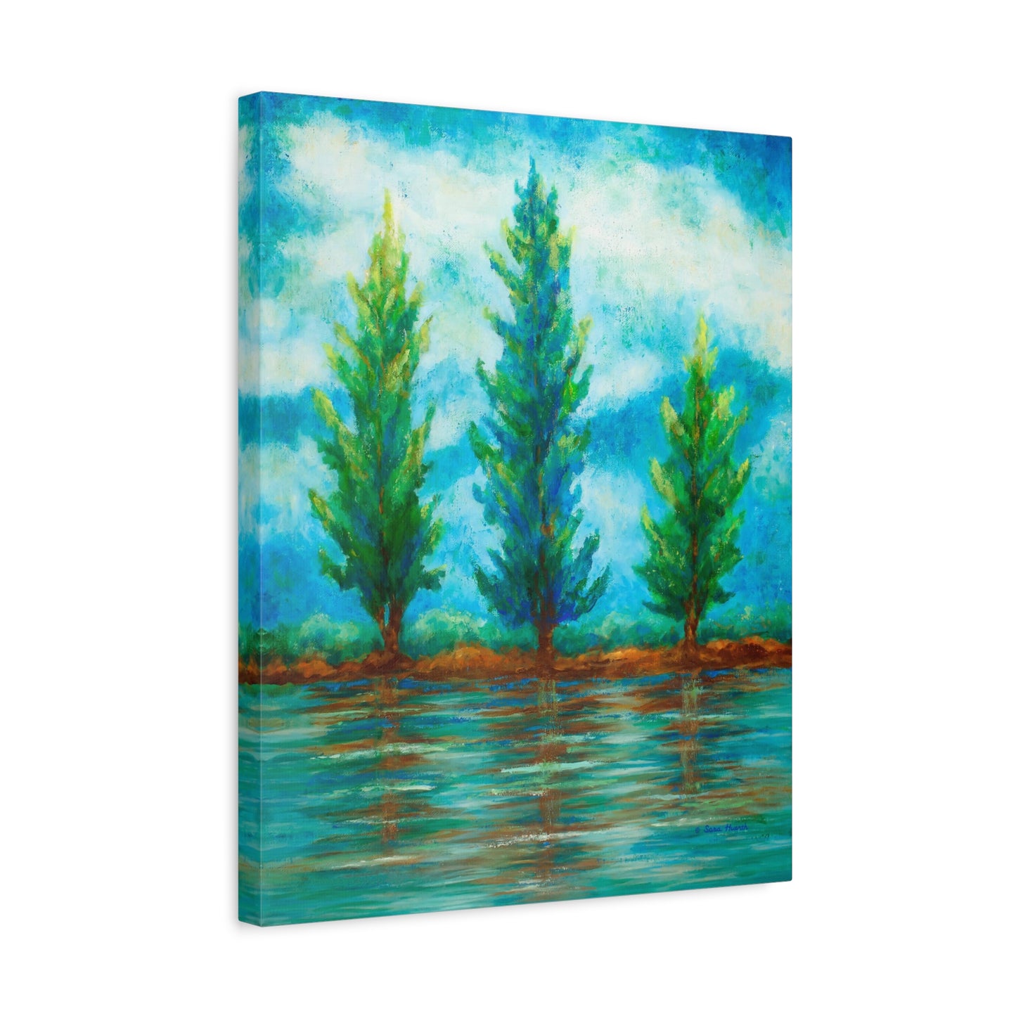 Three River Pines Canvas Print