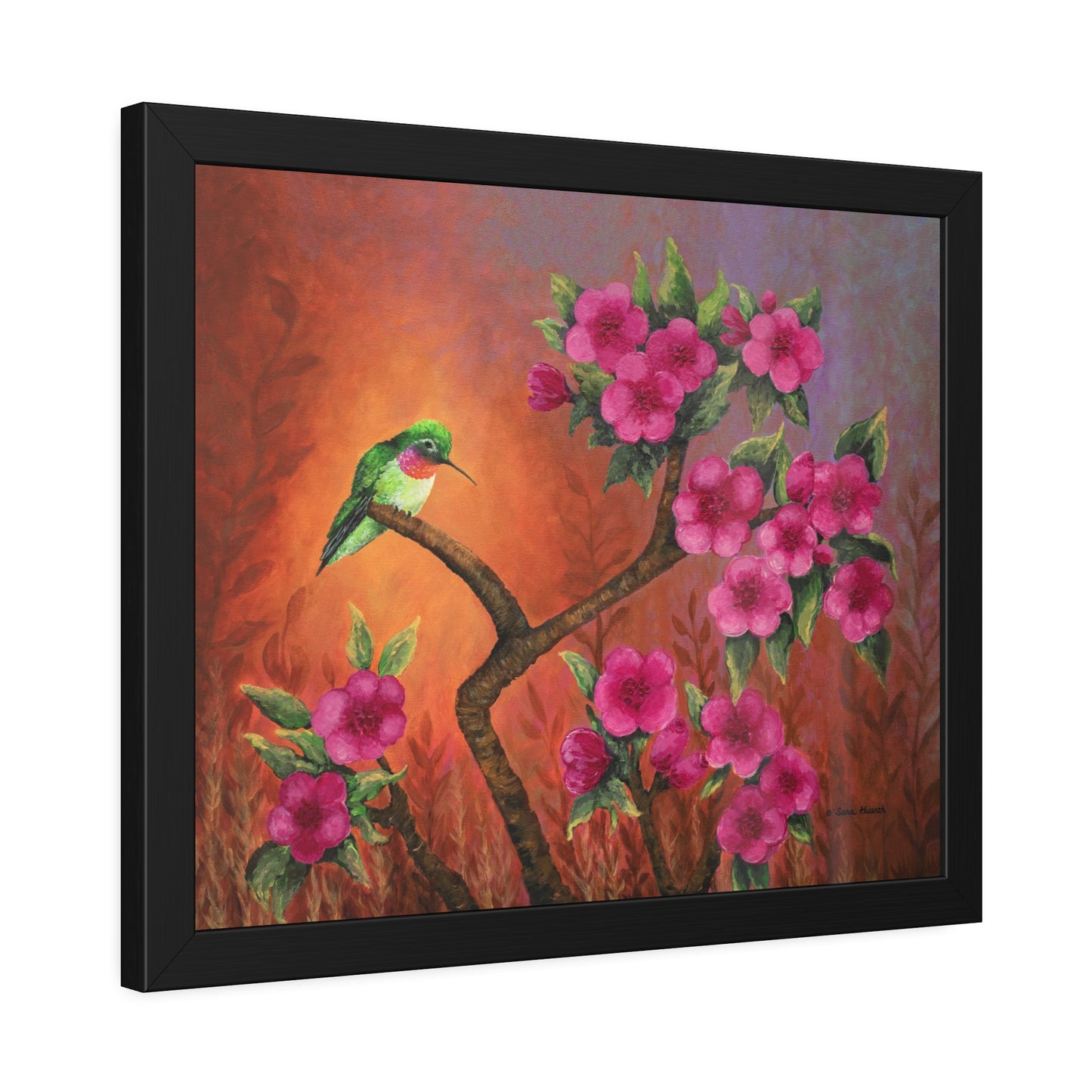 Hummingbird Sunset Paper Print, Framed