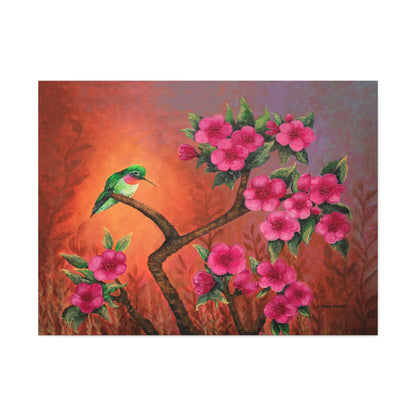 Hummingbird Sunset Canvas Print