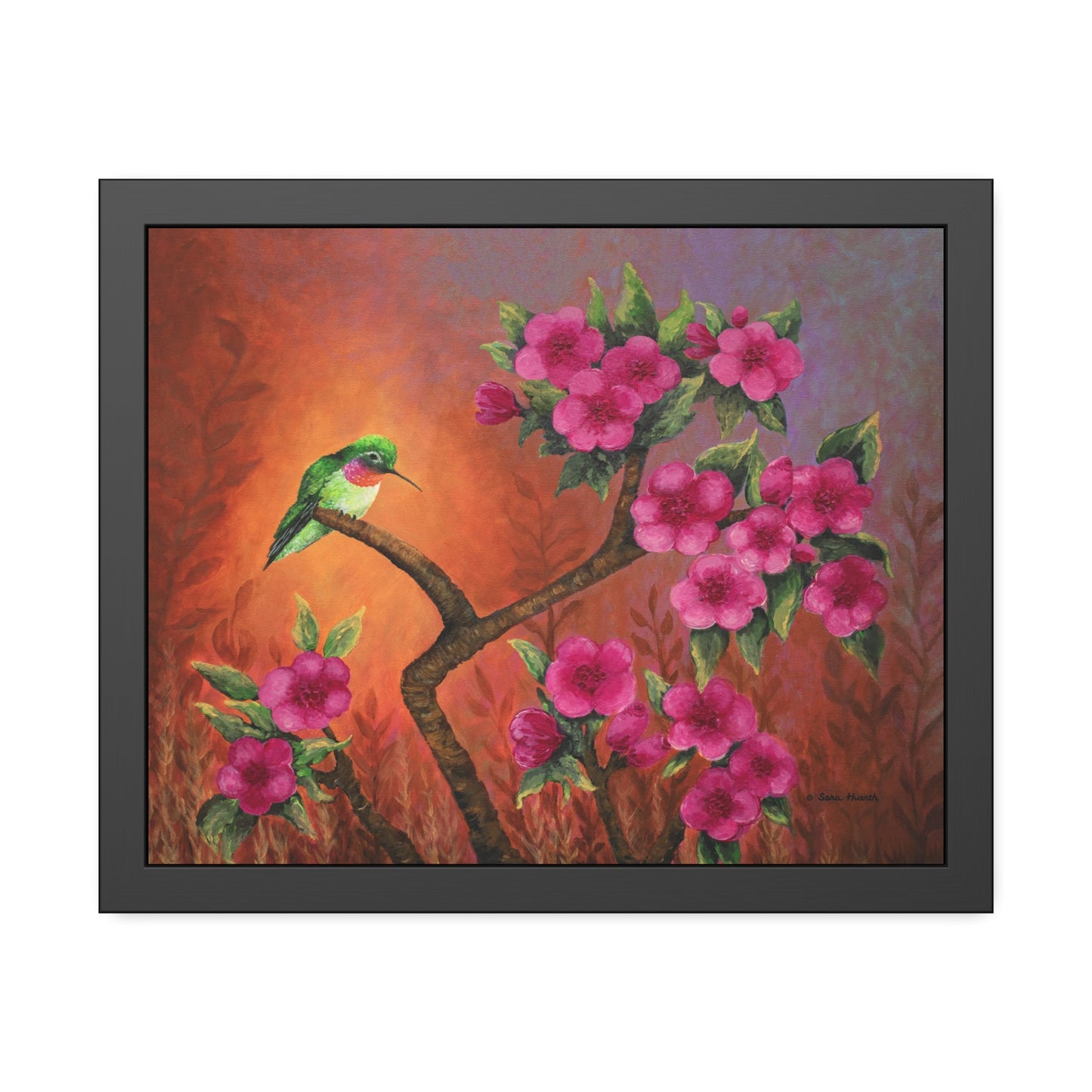 Hummingbird Sunset Paper Print, Framed