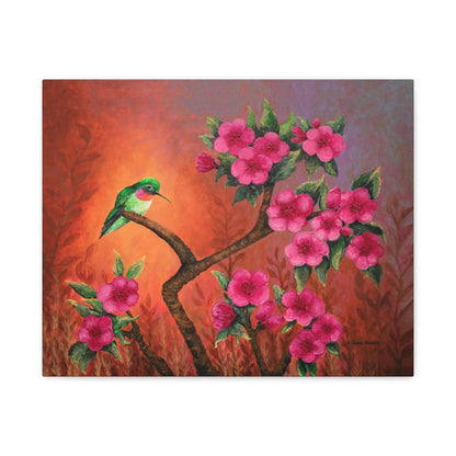 Hummingbird Sunset Canvas Print