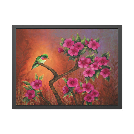 Hummingbird Sunset Paper Print, Framed