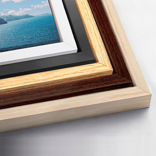 Purple Fairy Wren Canvas Print, Framed