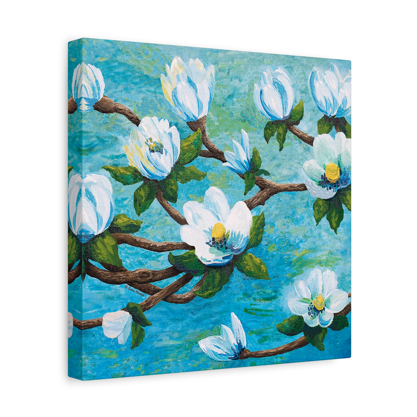 Magnolia Over Water Canvas Print