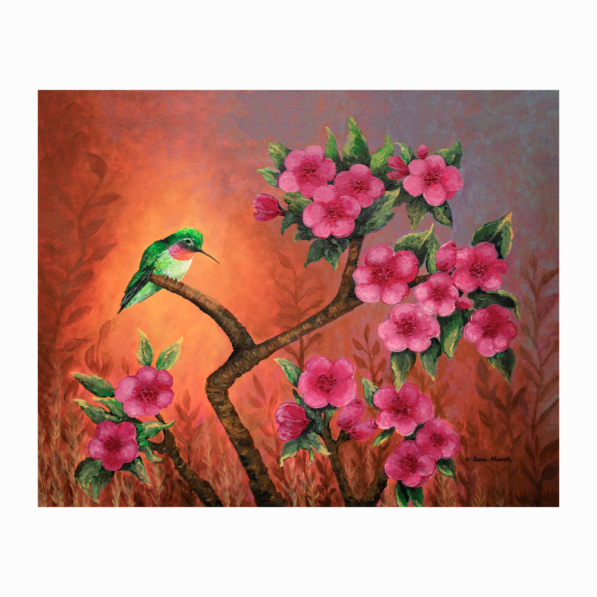 Painting of a hummingbird on a crabapple tree branch with pink flowers against an orange sunset sunrise background