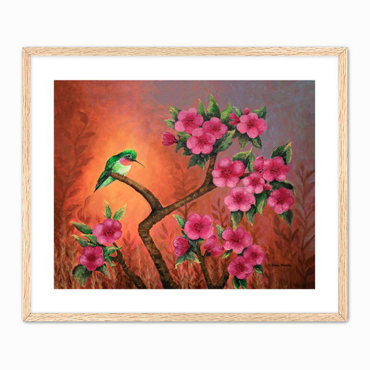 Hummingbird Sunset Fine Art Paper Print, Mat & Frame